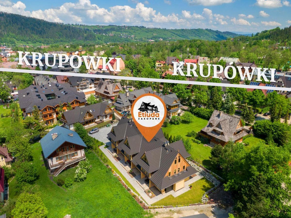 Villa Etiuda Zakopane Esterno foto